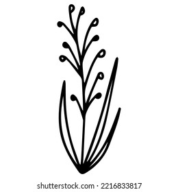  Hand drawn flower in doodle style