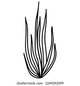 Flor dibujada a mano en estilo doodle. Un vector de línea.