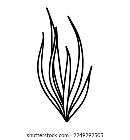 Flor dibujada a mano en estilo doodle. Un vector de línea.