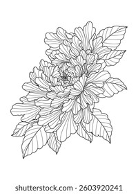 Hand drawn flower. The elegant floral for design.	