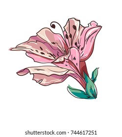Hand Drawn Flower, Element of Decor. Vector Flower.