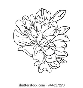 Hand Drawn Flower, Element of Decor. Vector Flower.