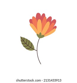 Hand drawn flower element for your design