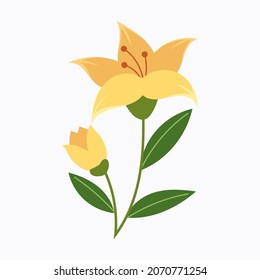 Hand drawn flower floral decoration