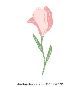 Handgezeichnete Blume, florales Element einzeln auf weißem Hintergrund. Doodle, Illustration in einem einfachen, flachen Stil. Es kann für die Dekoration von Textilien, Papier und anderen Oberflächen verwendet werden.