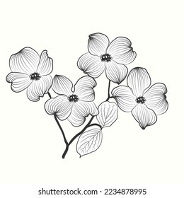 Hand drawn flower in floral style isolated on white background