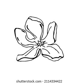 Handgezeichneter Blumenkopf für Design-Logo. Tintenfisch gezeichnetes grünes Element einzeln auf weißem Hintergrund. Kunstblume Silhouette Blumenelement 