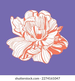 Hand drawn flower illustration. Botanical poster. Modern art. Ideal for home decor, wall art posters, cards, invitation. Colorful design. White flower on a dark background. Peony flower design.
