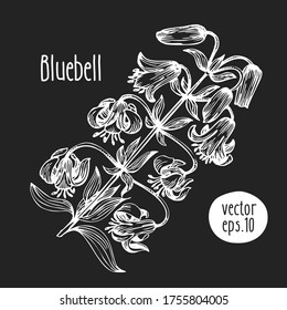 Ilustración de flores dibujada a mano. Esbozo vectorial en pizarra. Ilustración botánica vintage