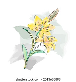 handgezeichnete Blumenillustrationen mit Linien und Aquarellfarben, für Einladungsdesigns, Grußkarten usw.