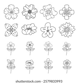 Hand drawn flower image collection, minimalist flowers, natural botanical elements of flowers, a single flower