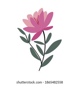 hand drawn flower.  isolated on white background.  best for romantic illustrations, love, and home gardens