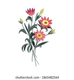 hand drawn flower.  isolated on white background.  best for romantic illustrations, love, and home gardens