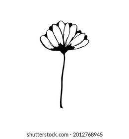 Handgezeichnete Blume einzeln auf weißem Hintergrund. Dekorative doodle-Skizze-Illustration. Vektorblumenelement.