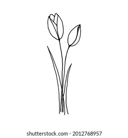 Flor dibujada a mano aislada sobre fondo blanco. Dibujo decorativo del dibujo del doodle. Elemento vectorial floral.