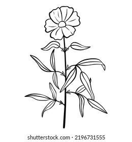 Hand drawn flower isolated on white background. Decorative doodle sketch illustration for greeting card, wedding invitation, fabric. Vector floral element.