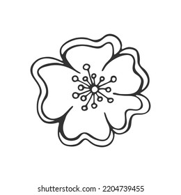 Hand drawn flower isolated on white background. Decorative doodle sketch illustration. Cute vector floral element.