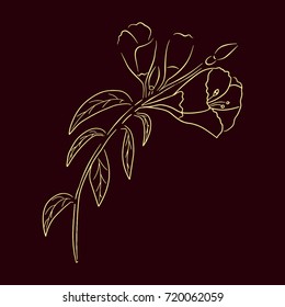 Hand drawn flower isolated on red background. Vector illustration of floral elements for different design