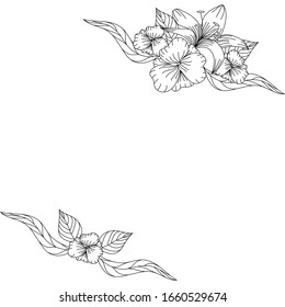 Hand drawn flower isolated. Simple outline sketch. Botany illustration. For coloring book. For flower shop. Decorative element. Ecology doodle. For post card, wallpaper, textile and wrapping paper