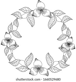 Hand drawn flower isolated. Simple outline sketch. Botany illustration. For coloring book. For flower shop. Decorative element. Ecology doodle. For post card, wallpaper, textile and wrapping paper