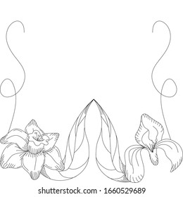 Hand drawn flower isolated. Simple outline sketch. Botany illustration. For coloring book. For flower shop. Decorative element. Ecology doodle. For post card, wallpaper, textile and wrapping paper