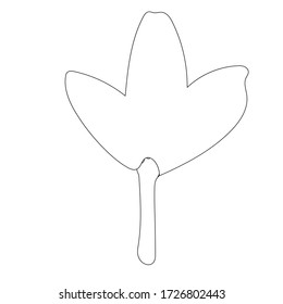 Flor dibujada a mano aislada. Esbozo de esquema simple. Ilustración botánica. Para colorear un libro. Para la floristería. Elemento decorativo. Doodle ecológico. Para postales, papel pintado, papel textil y papel envolvente.