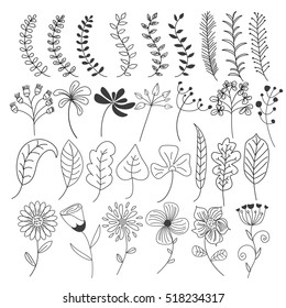 Hand drawn flower and leaf with black and white color