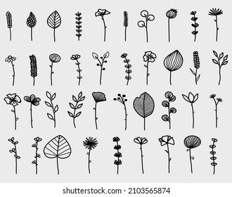 Dibujado a mano de doodle de flores y hojas sobre fondo blanco. Diseño de ilustración vectorial.