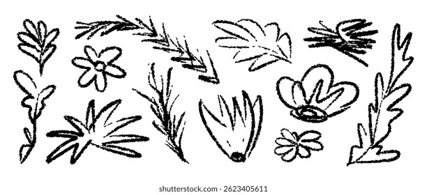Hand drawn flower and leaf. Doodle Ink floral and plant abstract illustration. Nature set. Sketch nature simple daisy, flower, leaves, graphic elements