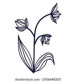 Flor y hoja dibujadas a mano 
 Ilustración en blanco.