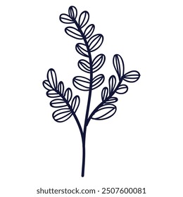 Hand drawn flower and leaf illustration on white.