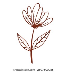 Flor y hoja dibujadas a mano 
 Ilustración en blanco.