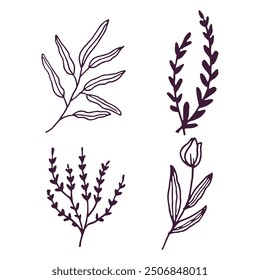 Conjunto de ilustración aislada de flores y hojas dibujadas a mano.