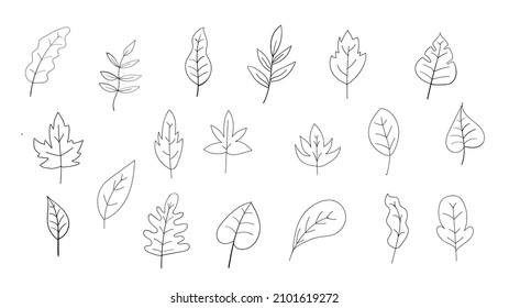 hand drawn flower leaf set. floral ornament element design set isolated on white background. vector illustration. 