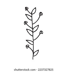 Hand Drawn Flower Leaf Vector Shape