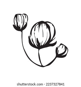 Hand Drawn Flower Leaf Vector Shape