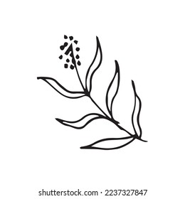 Hand Drawn Flower Leaf Vector Shape