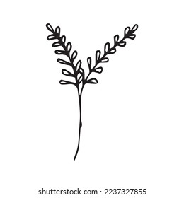 Hand Drawn Flower Leaf Vector Shape
