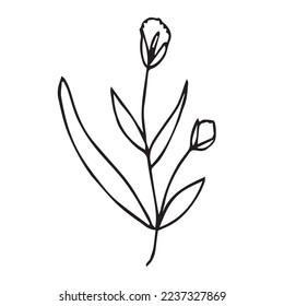 Forma de vector de hojas de flores dibujadas a mano