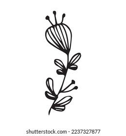 Hand Drawn Flower Leaf Vector Shape