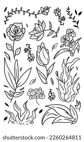 hand drawn flower leafs and grass with doodle style