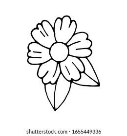 Flor dibujada a mano con hojas. Ilustración vectorial. 