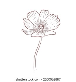 Hand drawn flower line art vector illustration