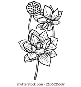 Hand Drawn Flower Lotus leafs naturals isolated sticker black botanical Line Art illustration