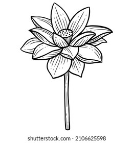 Flor de mano broca Lotus folletos naturales pegatinas aisladas negro botánico Line Art ilustración