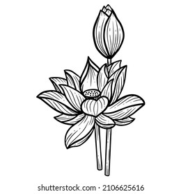 Hand Drawn Flower Lotus leafs naturals isolated sticker black botanical Line Art illustration