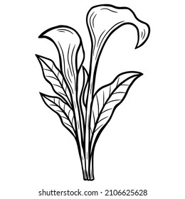 Hand Drawn Flower Lotus leafs naturals isolated sticker black botanical Line Art illustration