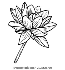 Hand Drawn Flower Lotus leafs naturals isolated sticker black botanical Line Art illustration