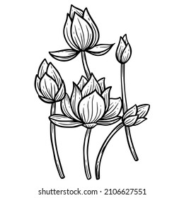 Hand Drawn Flower Lotus leafs naturals isolated sticker black botanical Line Art illustration