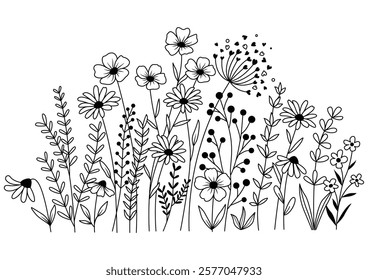 Hand drawn flower meadow Style vector illustration, Wild flower outline drawing, Botanical flowers and leaf herbs isolated on white Background, Invitation, Wedding card, Greeting card, Posster.